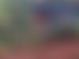 Marathon Recap: What Happened, What I Learned, and What’s Next