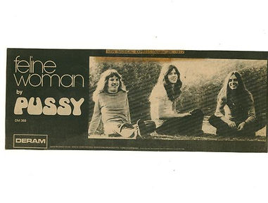 Pussy band single Feline Woman