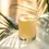 Thumbnail: Honey Sour Cocktail Mix