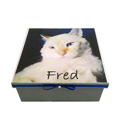 CAIXA ORGANIZADORA PET PERSONALIZADA 21X21