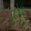 Thumbnail: Earth - Grounded and Warm