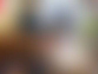 Exploring the Third Teacher in Reggio Emilia Inspired Preschools