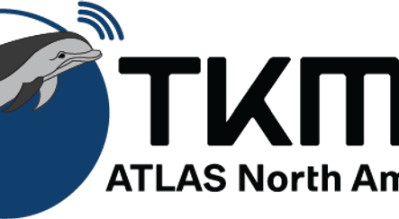 TKMS ANA Logo Large.png