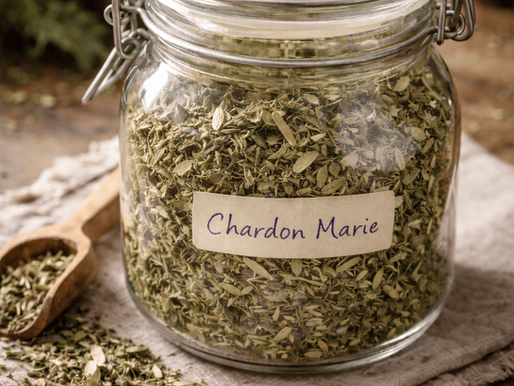 Le chardon-marie composant du CDH