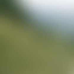 Uttrakhand-Traveler's Paradise