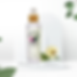 f4891a_6d024804b14e42bfb08b342704d6d45b~mv2.png