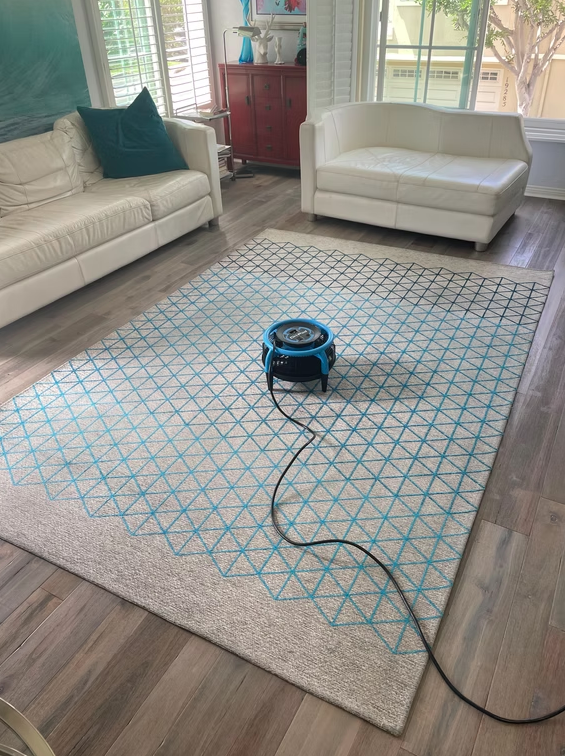 Carpet Cleaner