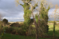 2001212 Irlande du nord 341