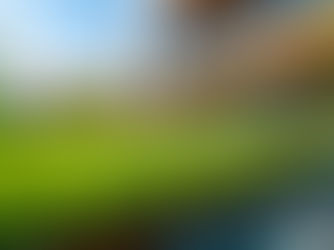 芝生の見積りと販売方法