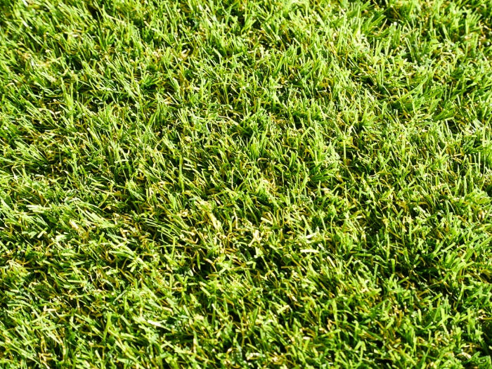 デラックス28mm (3).jpg