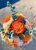 IMG_1111_edited.jpg