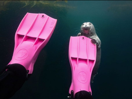 ภาพถ่ายอุ๋งอุ๋งที่น่ารักจนใจบาง