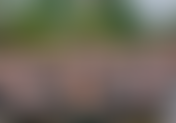 ฝรั่งปายเริ่มเละ เมาทั้งวัน แถมกินตับกันไม่เลือกที่