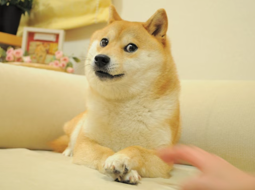 ree