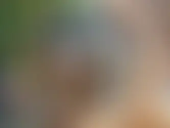 Yaş, Yaşlılık ve Yaşlanma Kavramları
