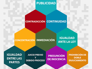 ¿Cuáles son los Principios Rectores del Procedimiento Penal?