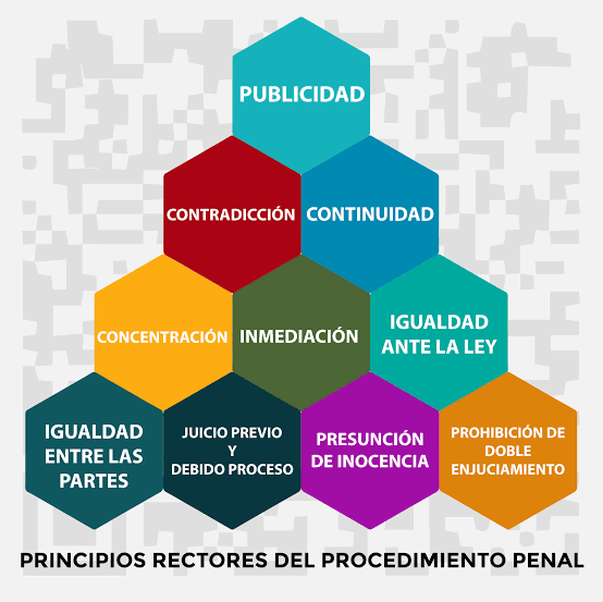 Principios rectores del procedimiento penal