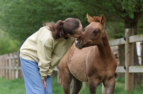 Kudde 15042025-28.jpg