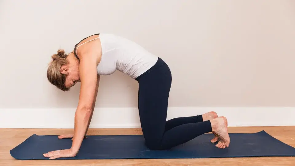Cat Cow yoga pose LivAura