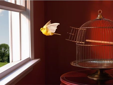 ¡Dios te quiere liberar de cualquier cautividad!