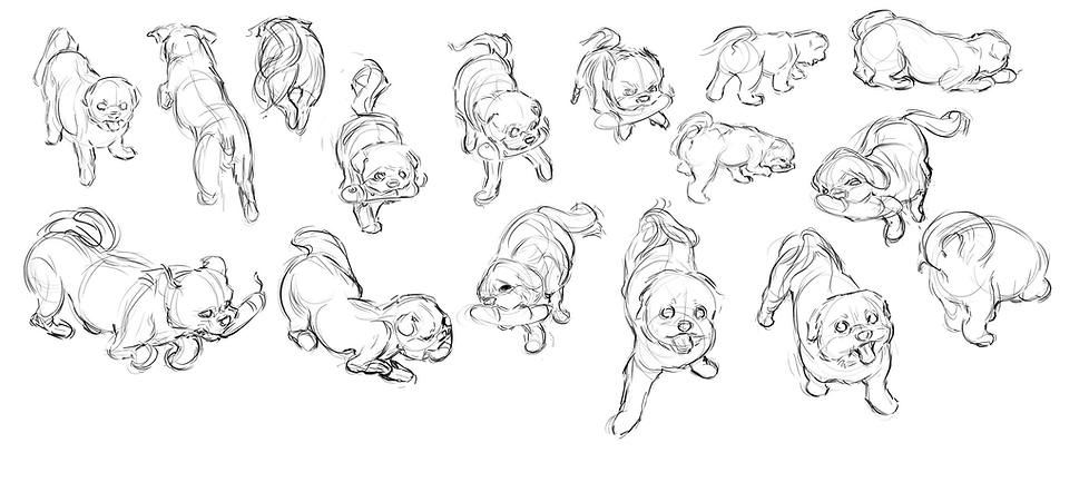 gizmo_arrangement.png