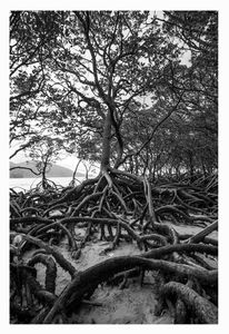 IMG_3887 B&W.jpg
