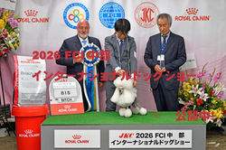 top_DSC2091