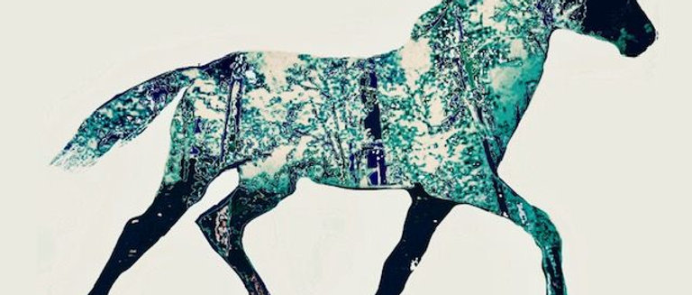 Forest Foal Canvas Print 60cm x 90cm