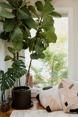 Neutral and bright living room