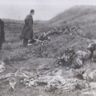 05.08.2024. Announcement