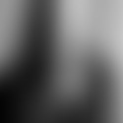 08.09.2024. Yulia Sineokaya