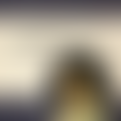 23.01.2024. Emmanuel Waegemans