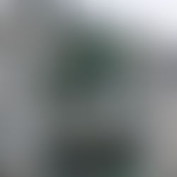 07.02.2024. Emmanuel Waegemans