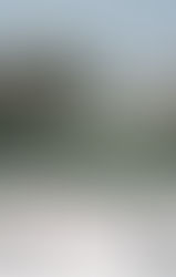 11.02.2024. Emmanuel Waegemans