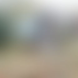 Russia. October 2024