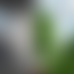 Gipsman Zeldin M. Environmental Agenda: Political Trad-off Or Planetary Economy.