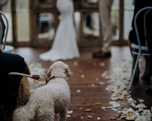 Lily Ever After Floral Designs creates bespoke wedding flowers, bridal bouquets, and ceremony & reception styling across Jervis Bay, the South Coast and Canberra, NSW, Australia. Award-winning florist bringing your vision to life with timeless, elegant floral designs.