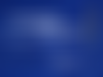 Eleições CANT 2024