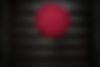 Photowalk mit den Freaks-4055-Bearbeitet.jpg