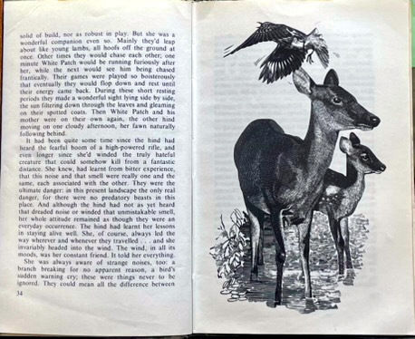 Bracken Block - inside page