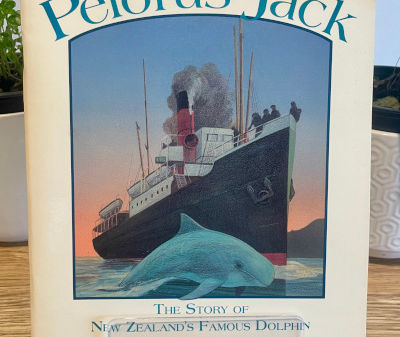 The Sstory of a New Zealand's famous dolphin.