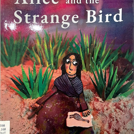 Alice, a girl living in pioneer New Zealand sees a strange bird on the beach. Could it be a moa?