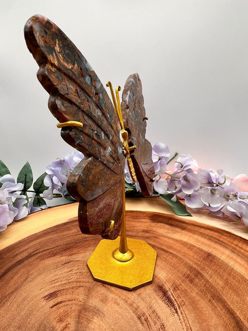 Thumbnail: Brecciated Jasper Butterfly Wings for Strength, Grounding & Vitality