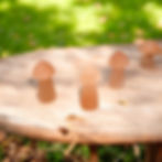 Thumbnail: Mystical Peach Selenite Mushrooms: Gems of the Forest