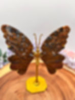 Brecciated Jasper Butterfly Wings for Strength, Grounding & Vitality