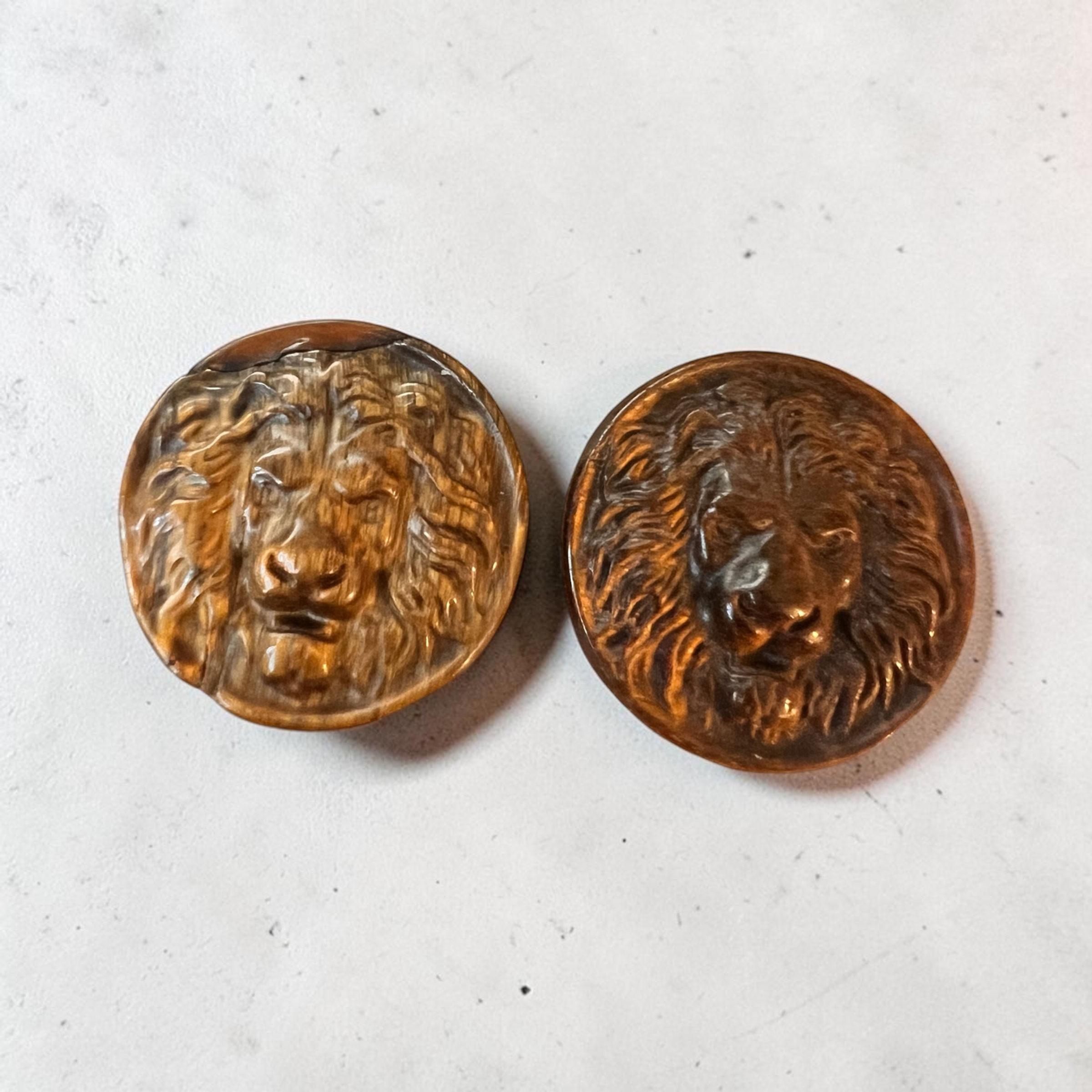Tiger Eye Lion Power Carvings