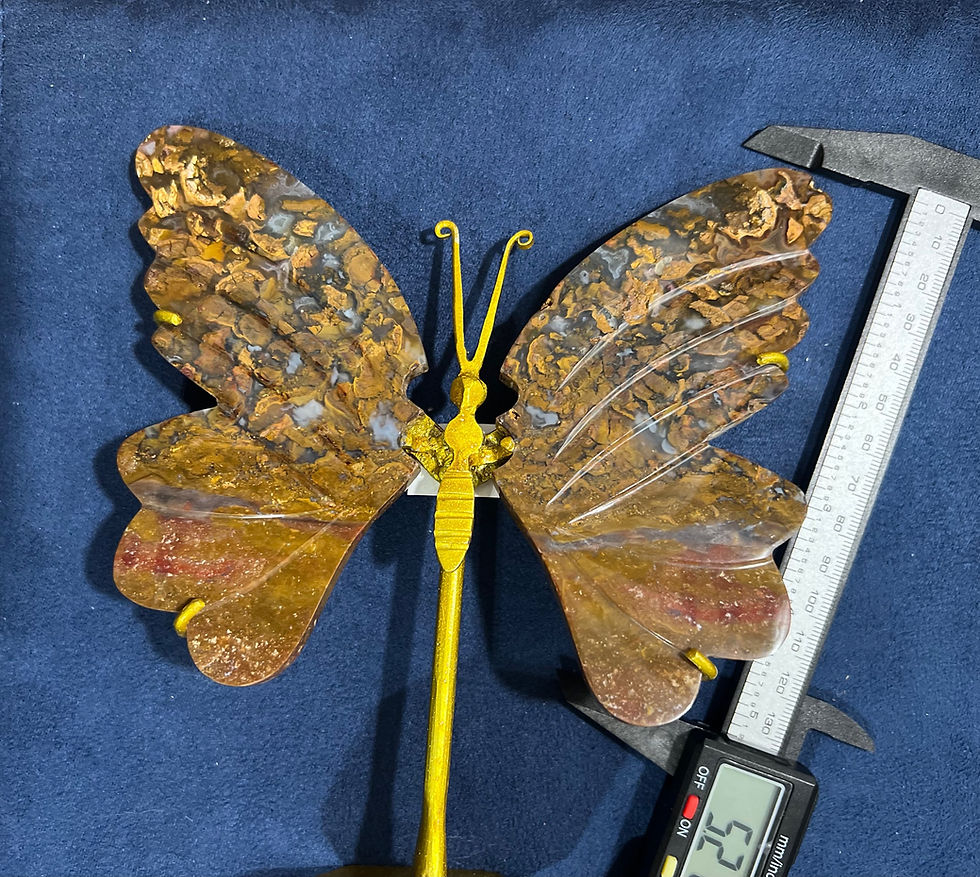 Thumbnail: Brecciated Jasper Butterfly Wings for Strength, Grounding & Vitality