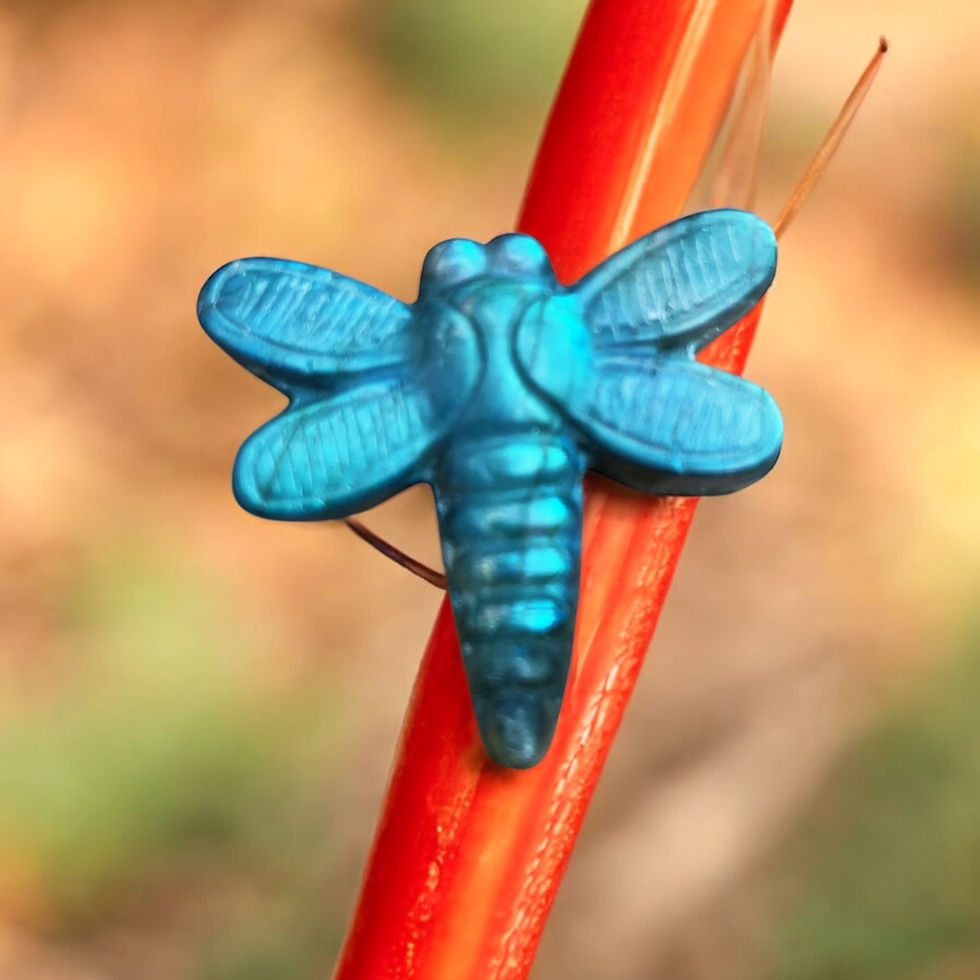 Miniatura: Labradorite Dragonfly Carvings: Transform Your Spiritual Journey