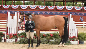 Showplace Productions B Series Has Much to Offer