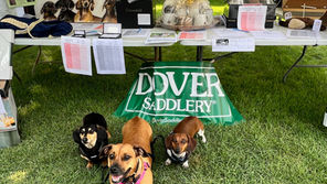 Perfecta Farm Show Celebrates Champions While Raising Funds for Charity